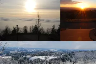 10126 NW Ash Ct, Portland, OR 97231 - Photo 37