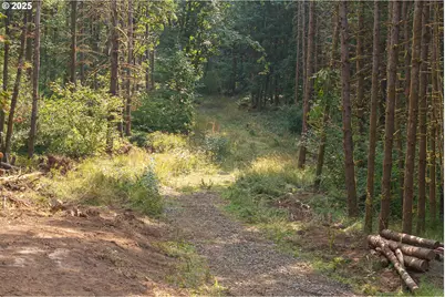 11975 SE Zion Hill Dr, Damascus, OR 97089 - Photo 7