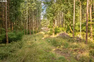 11975 SE Zion Hill Dr, Damascus, OR 97089 - Photo 1