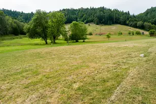 1620 Big Lick Ln, Myrtle Creek, OR 97457 - Photo 37