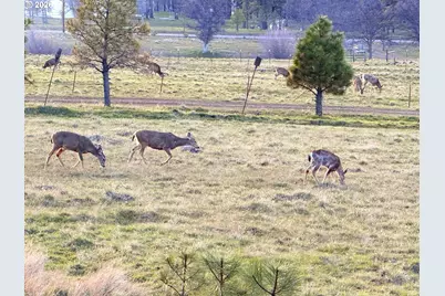 471 Woodland Rd, Goldendale, WA 98620 - Photo 31