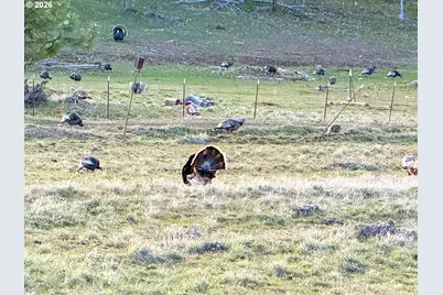 471 Woodland Rd, Goldendale, WA 98620 - Photo 29