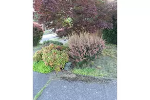 9105 N Seward Ave, Portland, OR 97217 - Photo 27