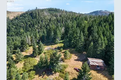 1070 Mystic Mountain Ln, Glide, OR 97443 - Photo 7