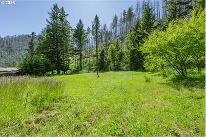 142 Evergreen Springs Ln, Idleyld Park, OR 97447 - Photo 11