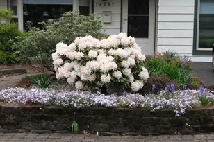 14085 SW Linda Ln, Beaverton, OR 97006 - Photo 5