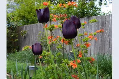 14085 SW Linda Ln, Beaverton, OR 97006 - Photo 43