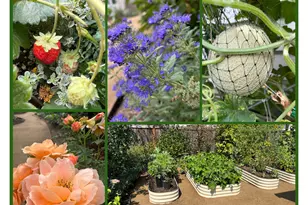 807 Ike Mooney Rd, Silverton, OR 97381 - Photo 33