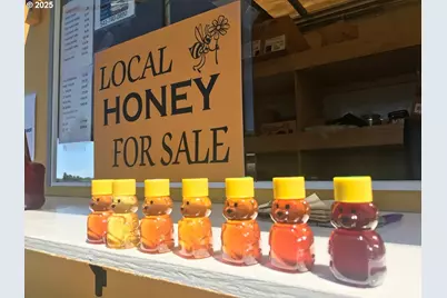 36270 Highway 226 SE, Albany, OR 97322 - Photo 5