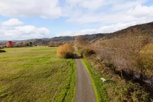 164 Jacob Hale Way, Roseburg, OR 97471 - Photo 41