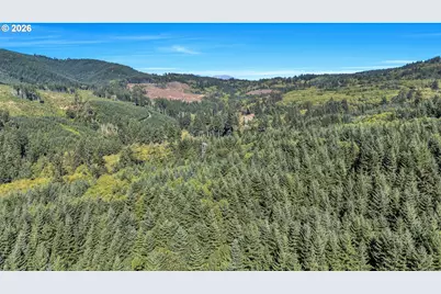 405 Italian Creek Rd, Kalama, WA 98625 - Photo 35
