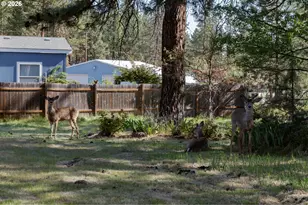 245 S Mike Rd, Tygh Valley, OR 97063 - Photo 19