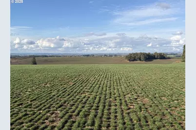 39986 Gisler Rd, Scio, OR 97374 - Photo 7