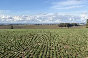 39986 Gisler Rd, Scio, OR 97374 - Photo 7