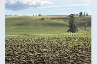 39986 Gisler Rd, Scio, OR 97374 - Photo 39