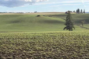 39986 Gisler Rd, Scio, OR 97374 - Photo 39