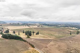 39986 Gisler Rd, Scio, OR 97374 - Photo 43