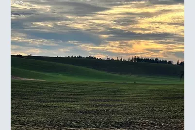 39986 Gisler Rd, Scio, OR 97374 - Photo 41