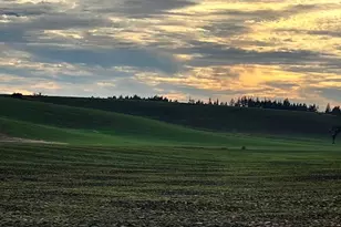 39986 Gisler Rd, Scio, OR 97374 - Photo 41