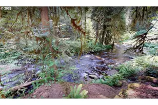 76270 E Road 28, Rhododendron, OR 97049 - Photo 5