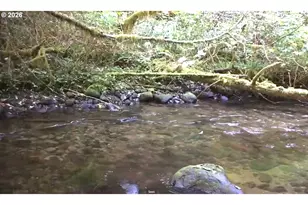 76270 E Road 28, Rhododendron, OR 97049 - Photo 7