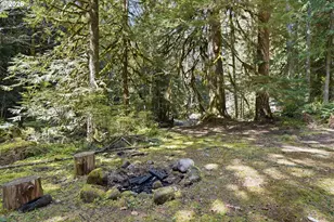 76270 E Rd 28, Rhododendron, OR 97049 - Photo 33