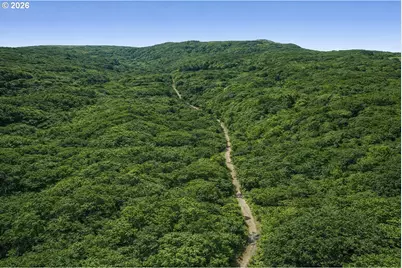 355 E Ragland Rd, Longview, WA 98632 - Photo 11