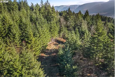 831 Franz Rd, Stevenson, WA 98648 - Photo 13