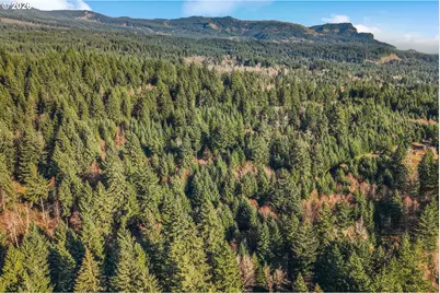 831 Franz Rd, Stevenson, WA 98648 - Photo 15