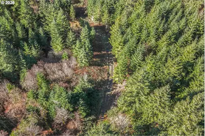831 Franz Rd, Stevenson, WA 98648 - Photo 11