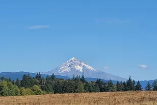 49009 SE Baty Rd, Sandy, OR 97055 - Photo 41