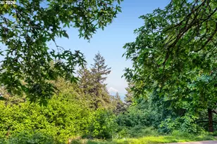 2213 SE 60th Ave, Portland, OR 97215 - Photo 43