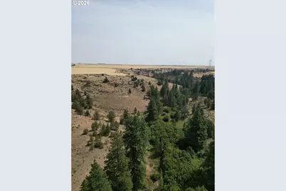 Xx Middle Rd., Bickleton, WA 99322 - Photo 13