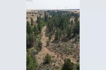 Xx Middle Rd., Bickleton, WA 99322 - Photo 15