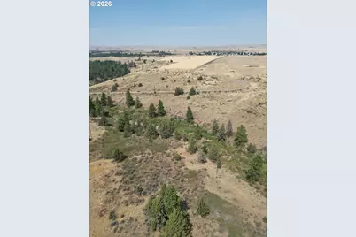 Xx Middle Rd., Bickleton, WA 99322 - Photo 9