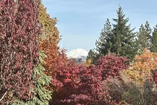 570 Toms Dr, Hood River, OR 97031 - Photo 3