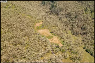 0 E Willis Creek Rd, Winston, OR 97496 - Photo 5