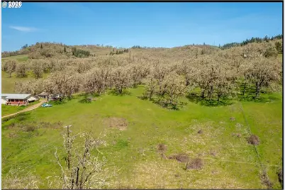 0 E Willis Creek Rd, Winston, OR 97496 - Photo 9