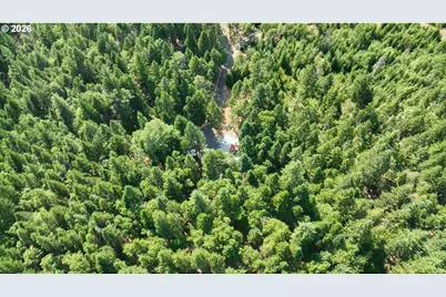 116 Crooks Creek Rd, Selma, OR 97538 - Photo 15