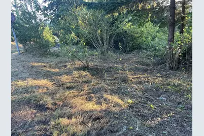 0 NE Jabez St, Winlock, WA 98596 - Photo 7