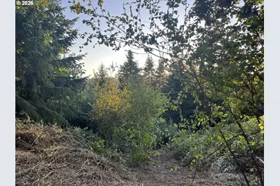 0 NE Jabez St, Winlock, WA 98596 - Photo 9