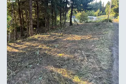 0 NE Jabez St, Winlock, WA 98596 - Photo 3