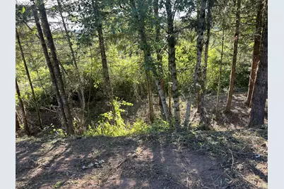 0 NE Jabez St, Winlock, WA 98596 - Photo 5