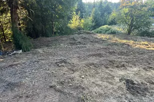 0 NE Jabez St, Winlock, WA 98596 - Photo 1