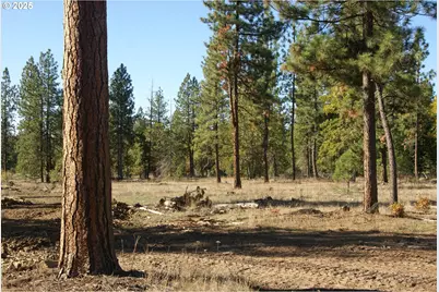 8 Ginger Way, Goldendale, WA 98620 - Photo 9