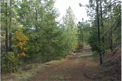8 Ginger Way, Goldendale, WA 98620 - Photo 13