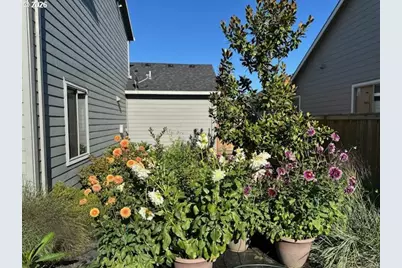 1491 Foxglove St, Woodburn, OR 97071 - Photo 35