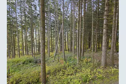 0 Warren Rd #4, North Bonneville, WA 98639 - Photo 3