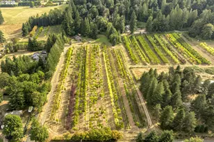 29630 SE Wheeler Rd, Boring, OR 97009 - Photo 45