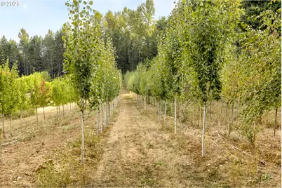 29630 SE Wheeler Rd, Boring, OR 97009 - Photo 39